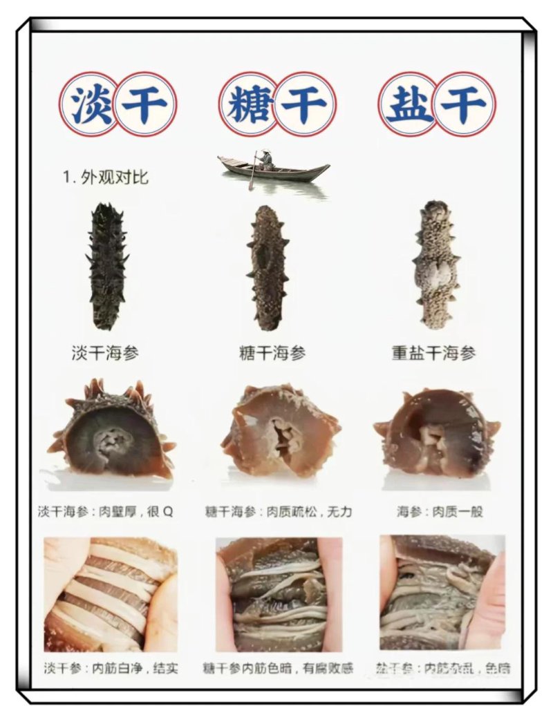 淡干海参