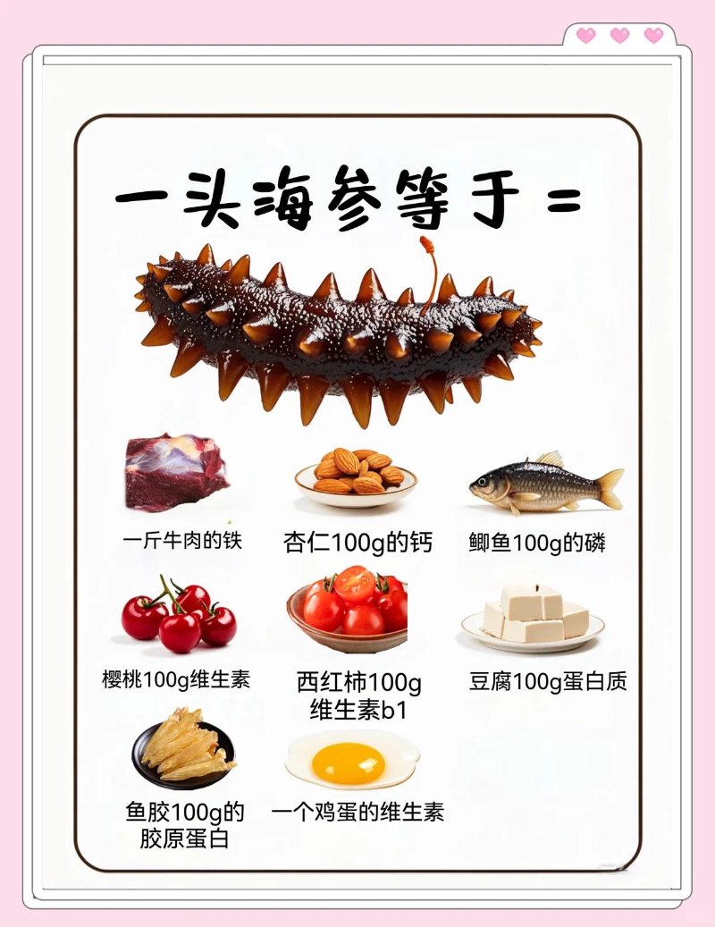 海参营养价值